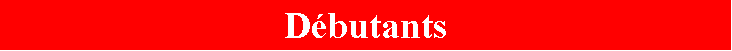 Zone de Texte: Dbutants 